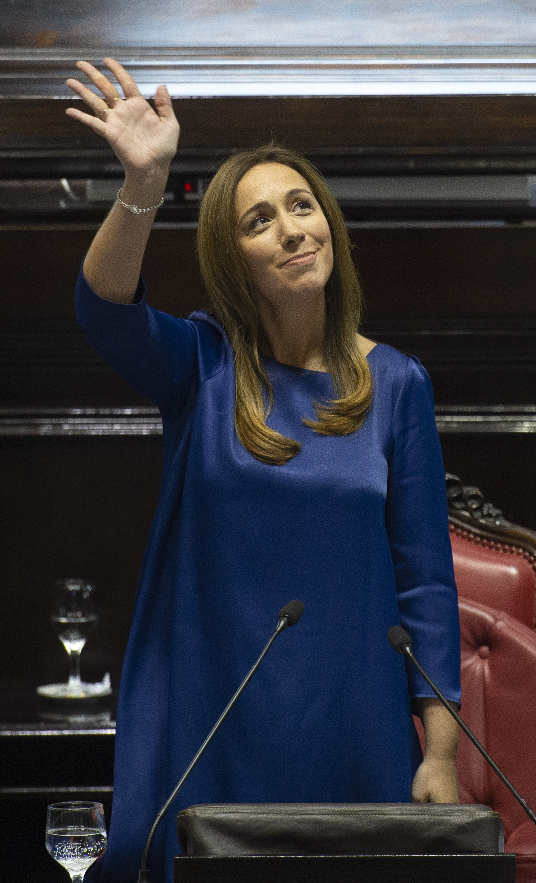 Vidal - Asamblea Legislativa 2019